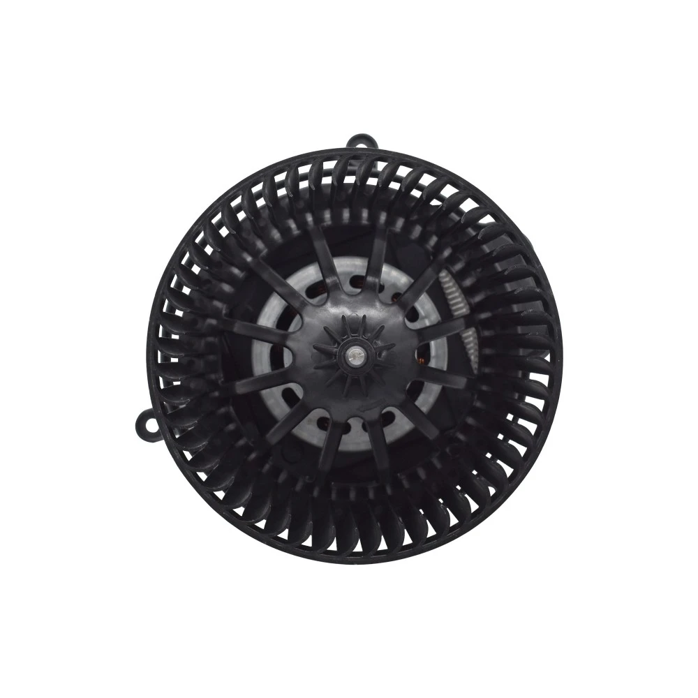 Blower Motor
